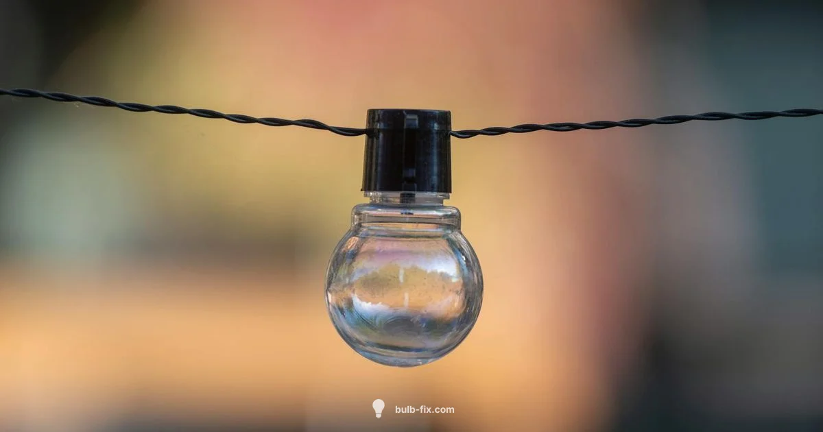 Bulb Without Guide - Bulb Fix