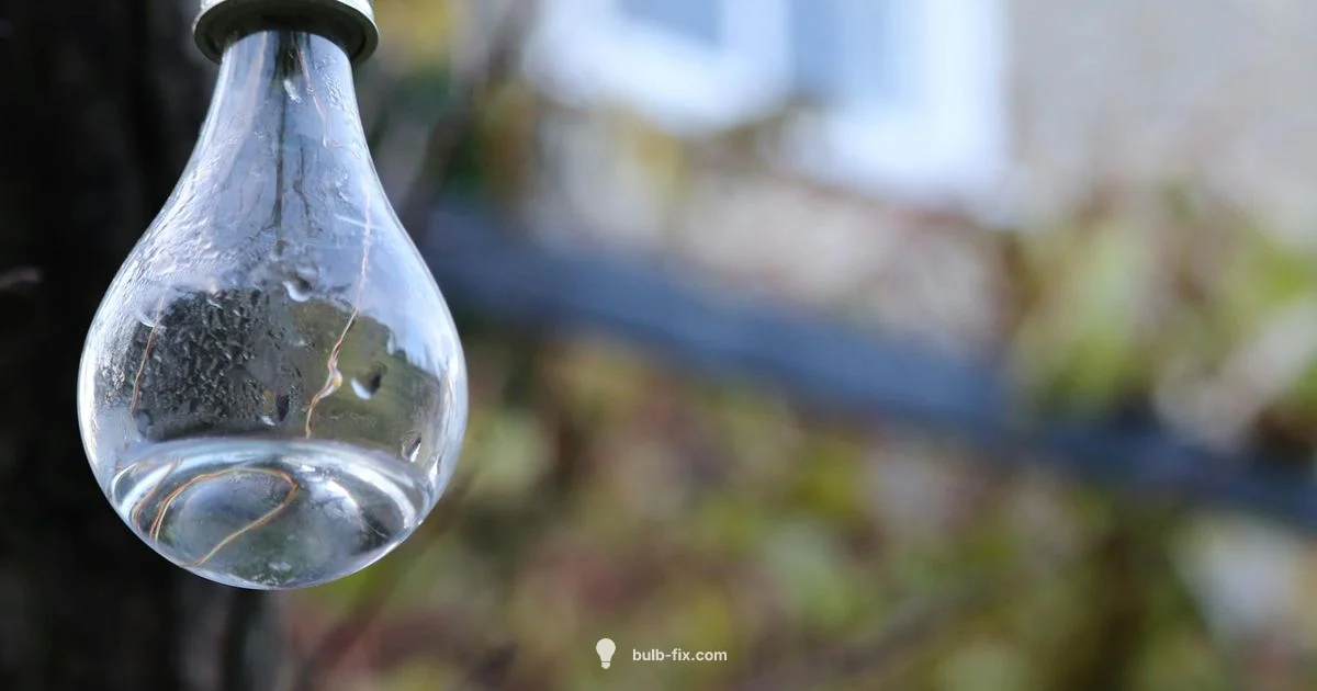 Bulb Safety Checklist - Bulb Fix