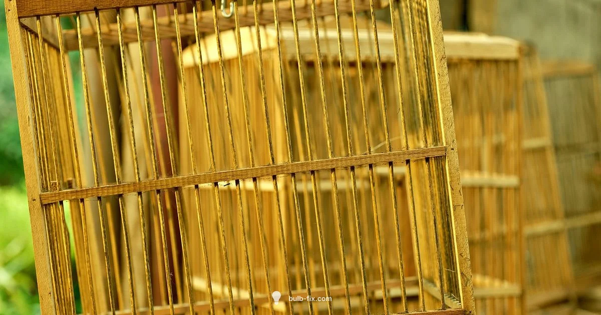 Safe Lighting - Bulb Fix