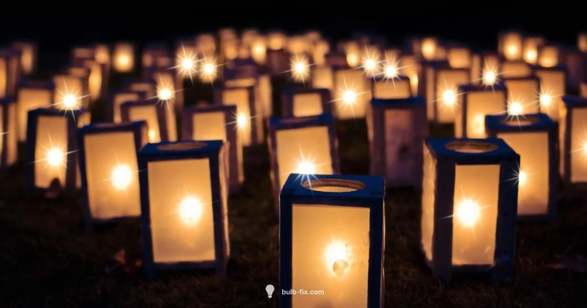 Lava Night Light Lava Night Light - Bulb Fix