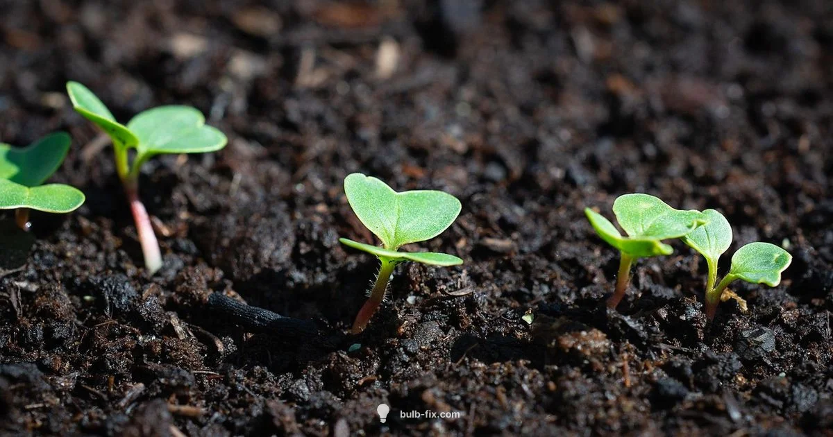 Bulb Growth Guide - Bulb Fix