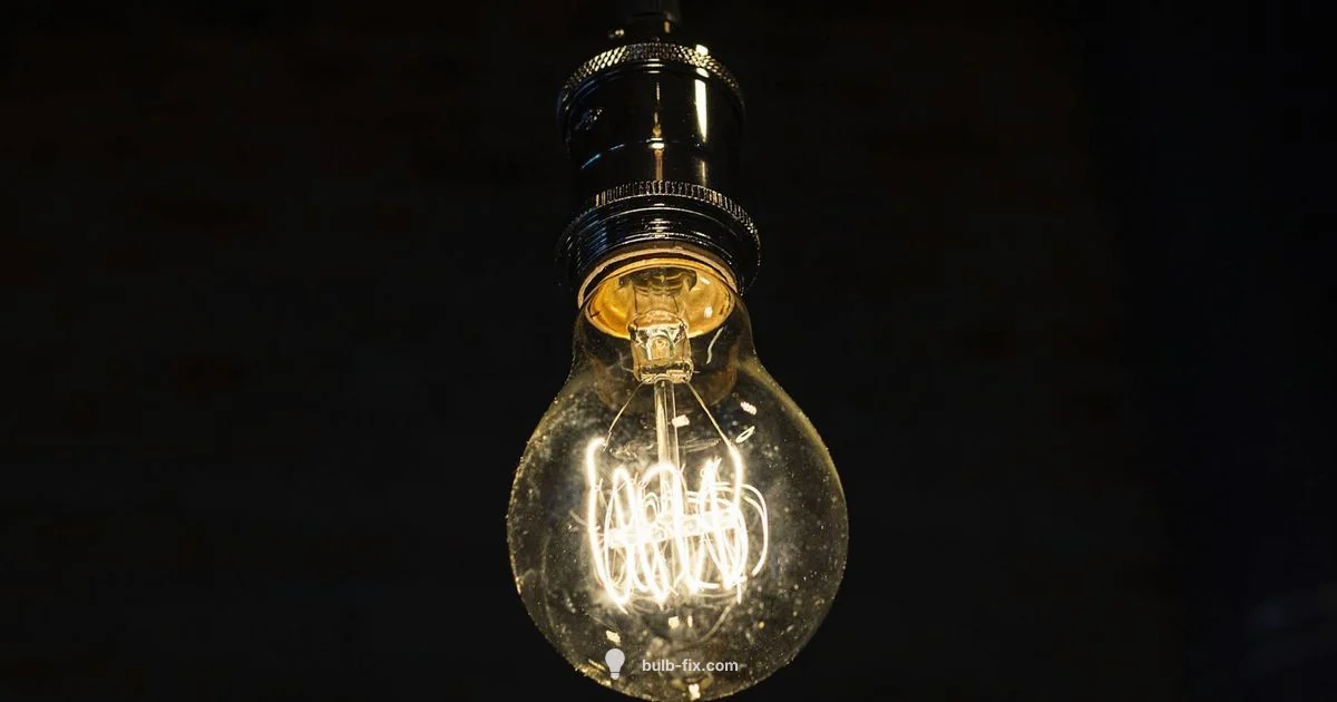 E26 Edison Guide - Bulb Fix