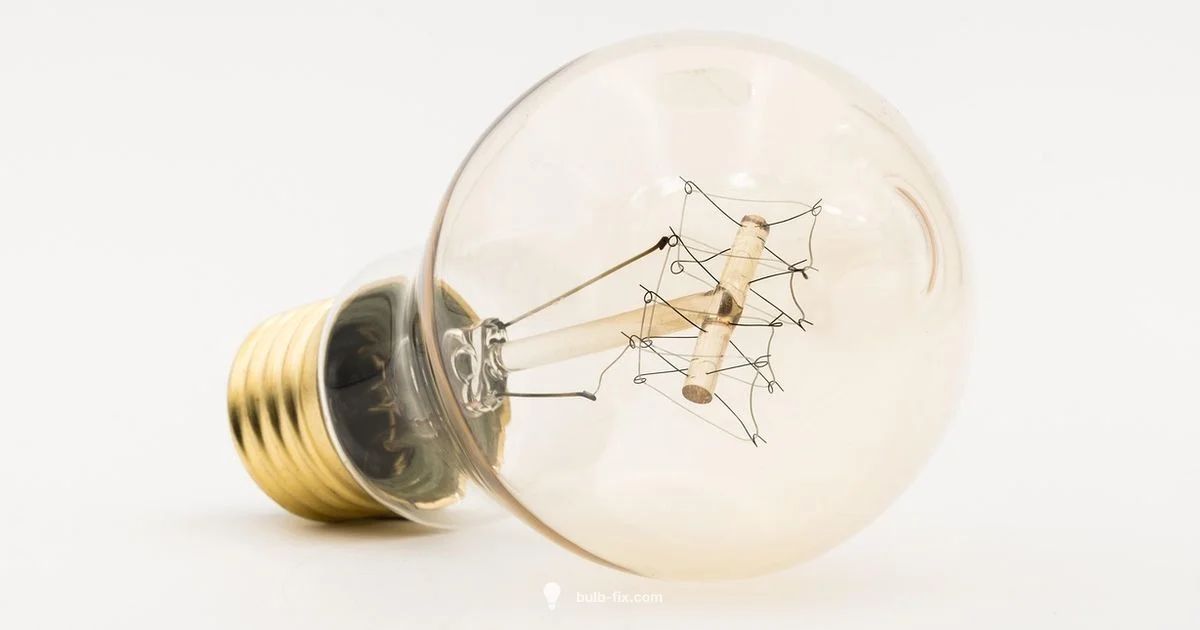 E26 Bulbs Explained E26 Bulbs Explained - Bulb Fix