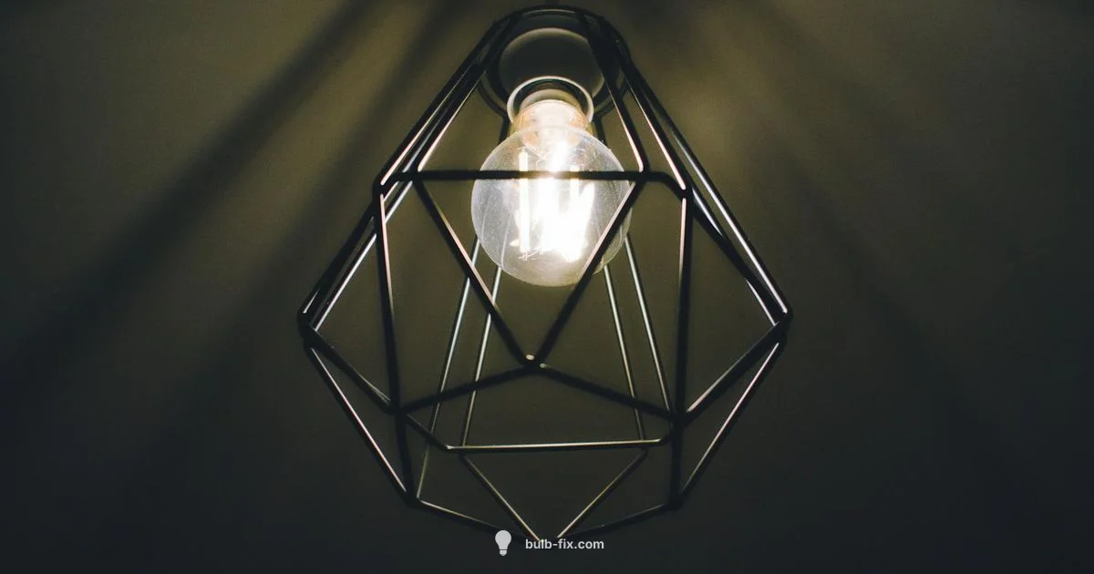 Bulb Basics Bulb Basics - Bulb Fix