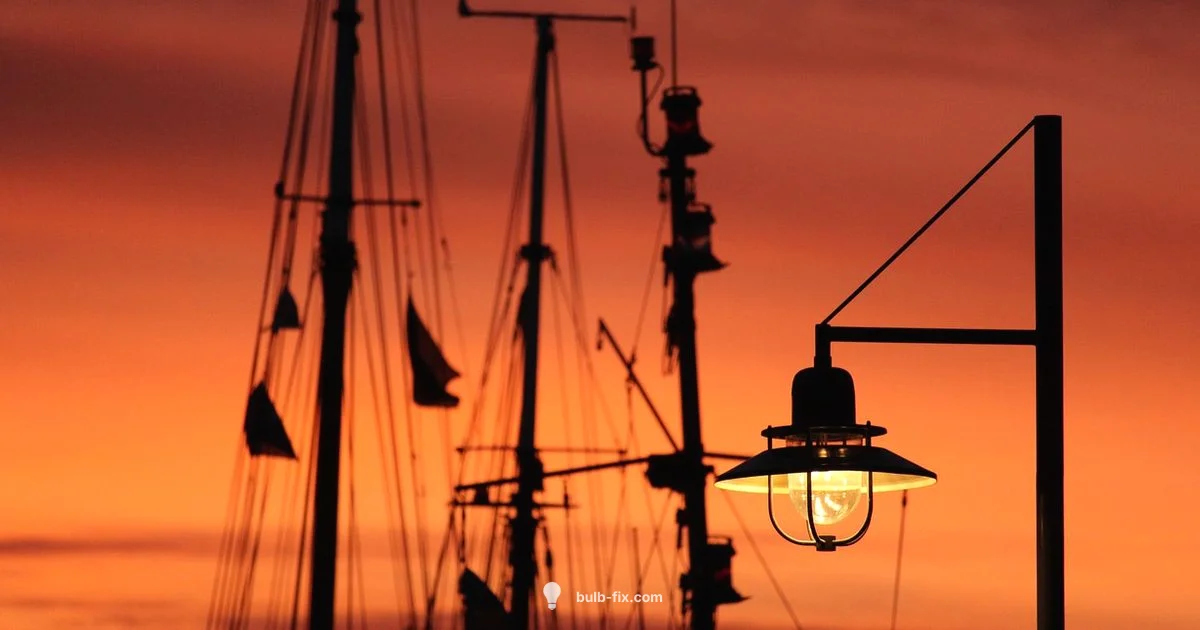 Outdoor Bulb Guide - Bulb Fix