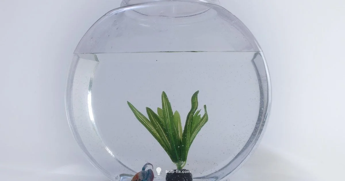 Aquarium Bulb Guide Aquarium Bulb Guide - Bulb Fix