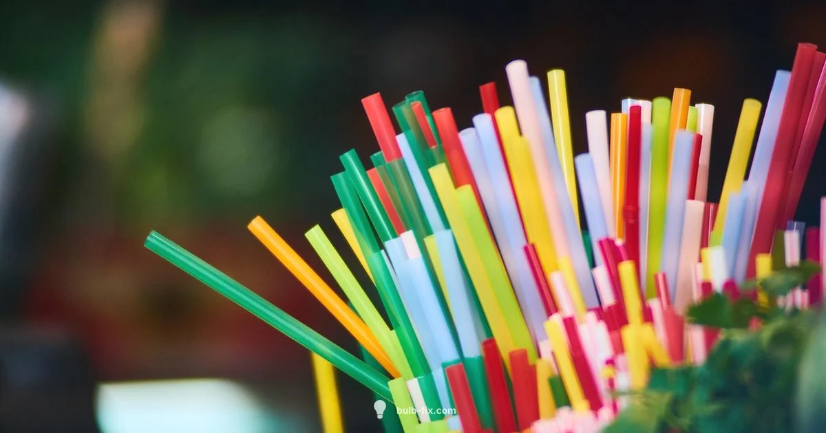 Bulb Pipette Basics - Bulb Fix