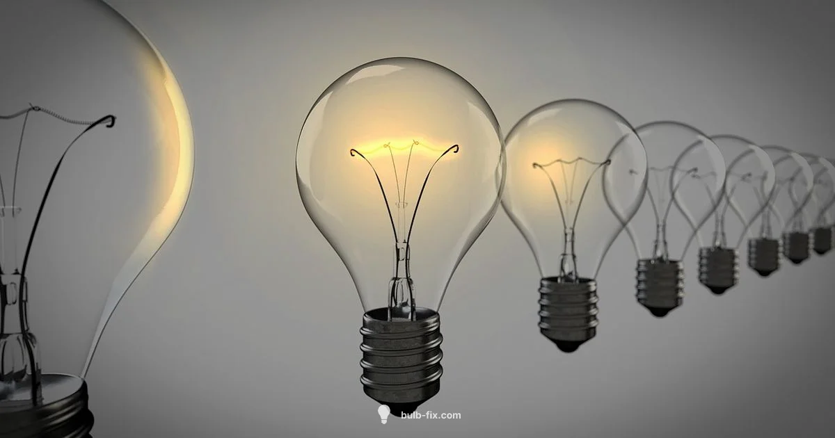 Light Bulb Essentials Light Bulb Essentials - Bulb Fix