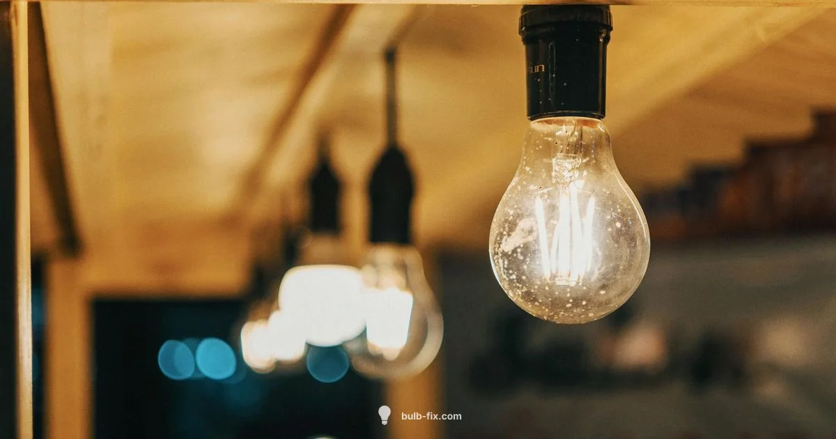 t8 vs t12 Guide t8 vs t12 Guide - Bulb Fix