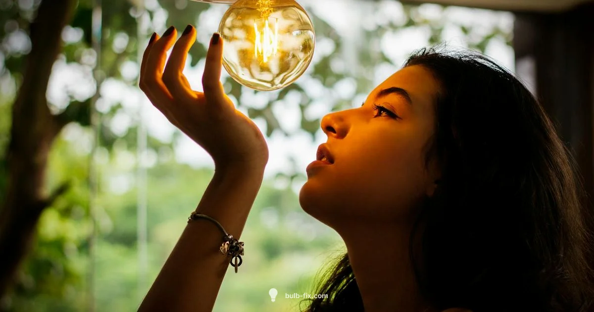 Safe High Reach Safe High Reach - Bulb Fix