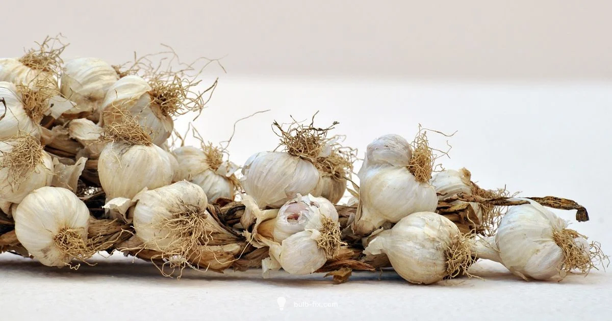 Spoiled Garlic Clues - Bulb Fix