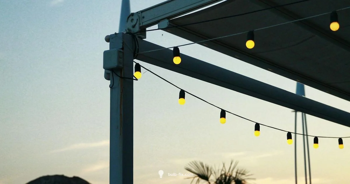 LED String Setup LED String Setup - Bulb Fix