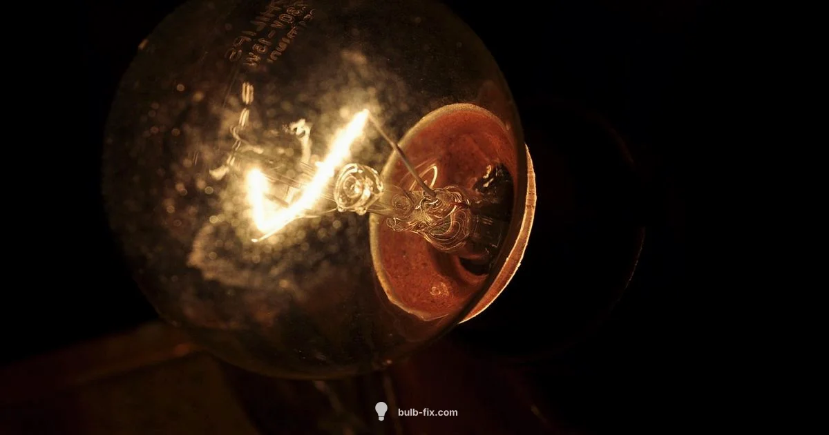 Discover Light Bulb - Bulb Fix