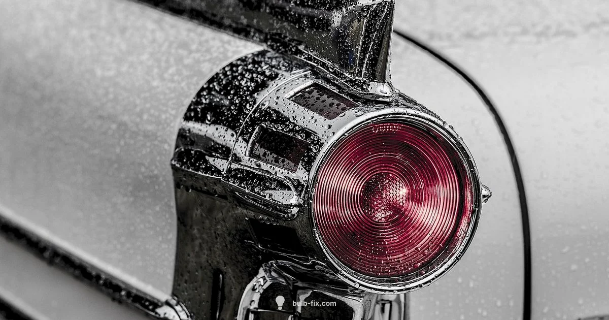 Reverse Light Guide - Bulb Fix