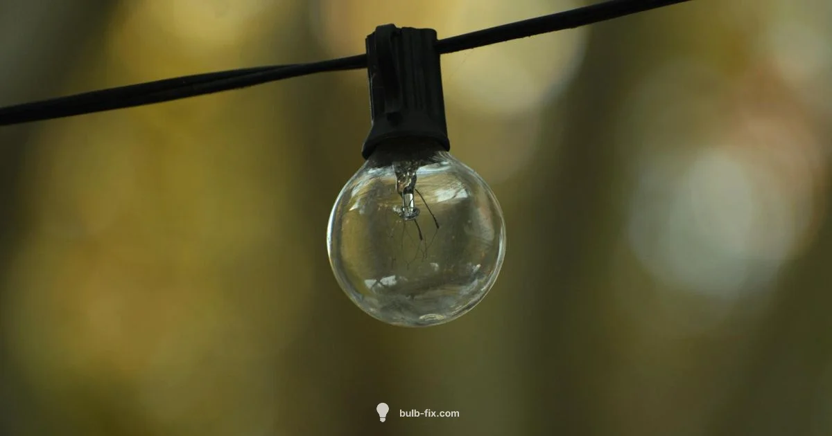 Interchangeable Bulbs - Bulb Fix