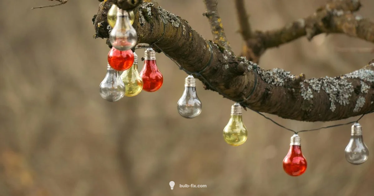 Bulb Buying Guide - Bulb Fix