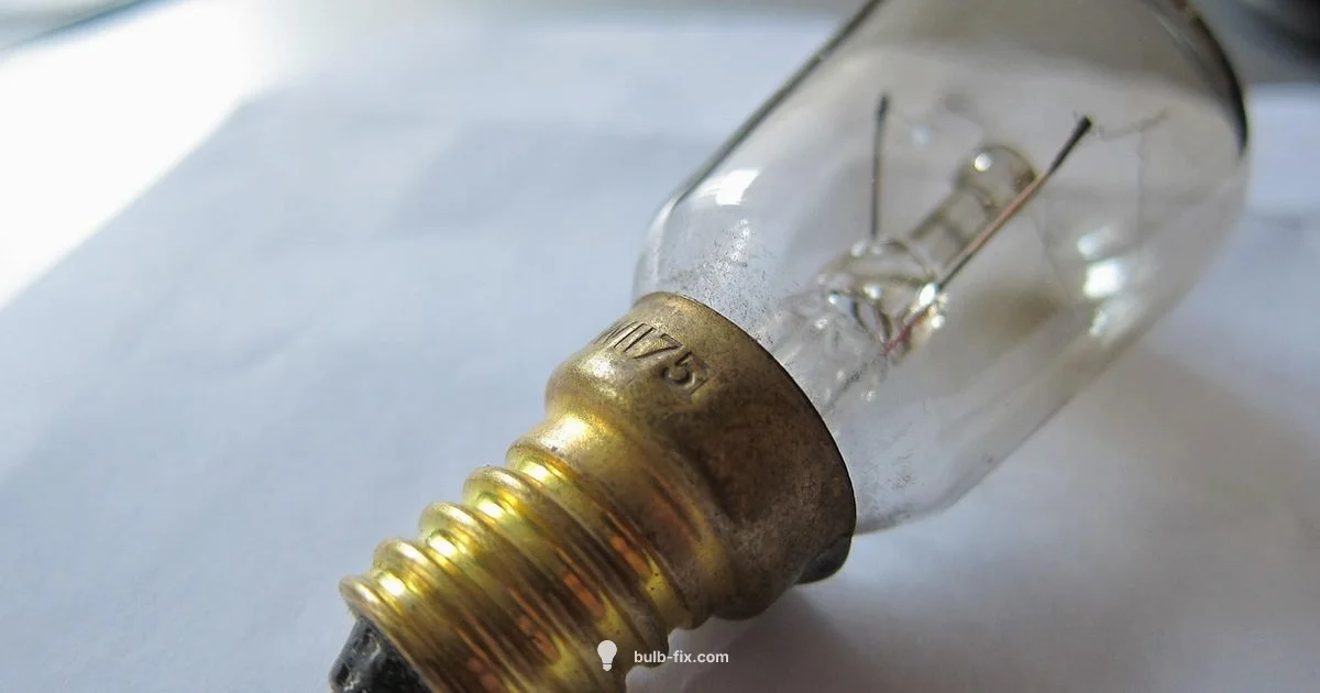 Bulb Cover Guide - Bulb Fix