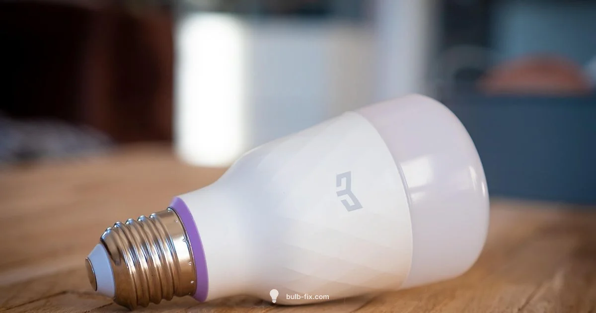Energy-Efficient Lighting - Bulb Fix