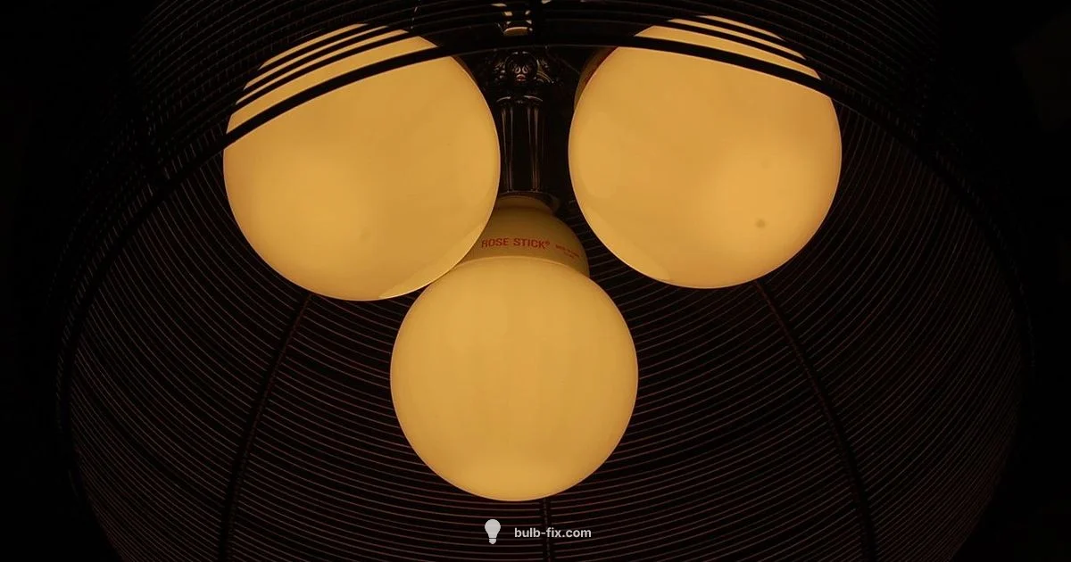 Bulb Compatibility Bulb Compatibility - Bulb Fix