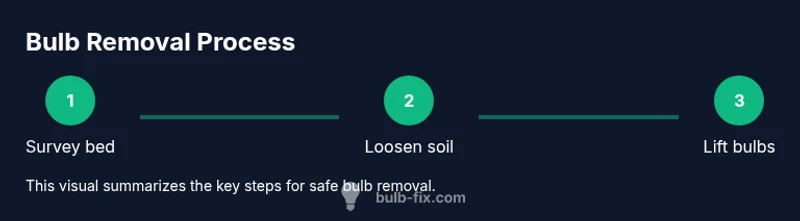 Diagram of a bulb removal process in a garden