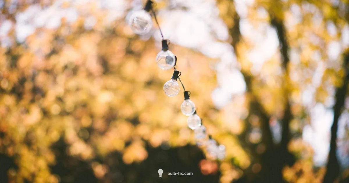 C7 vs C9 Quick Check C7 vs C9 Quick Check - Bulb Fix