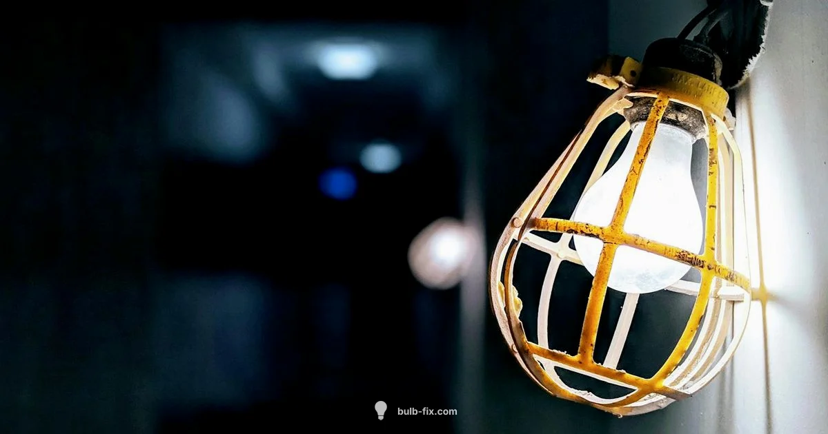 Motion Sensor Bulb - Bulb Fix