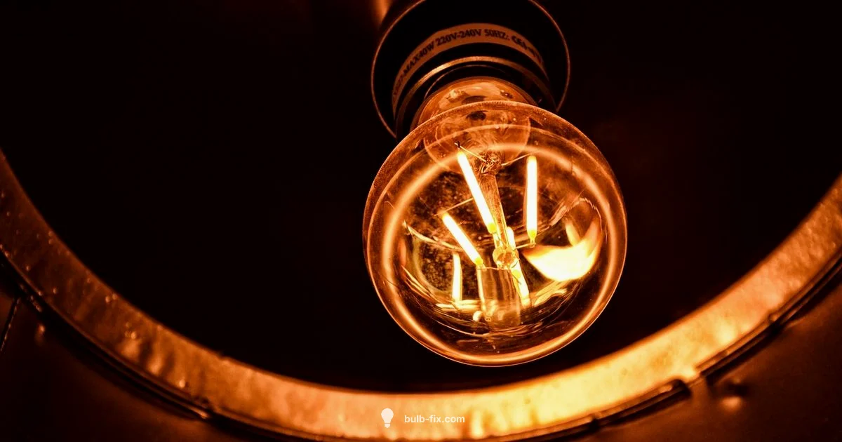 Right Bulbs Guide Right Bulbs Guide - Bulb Fix