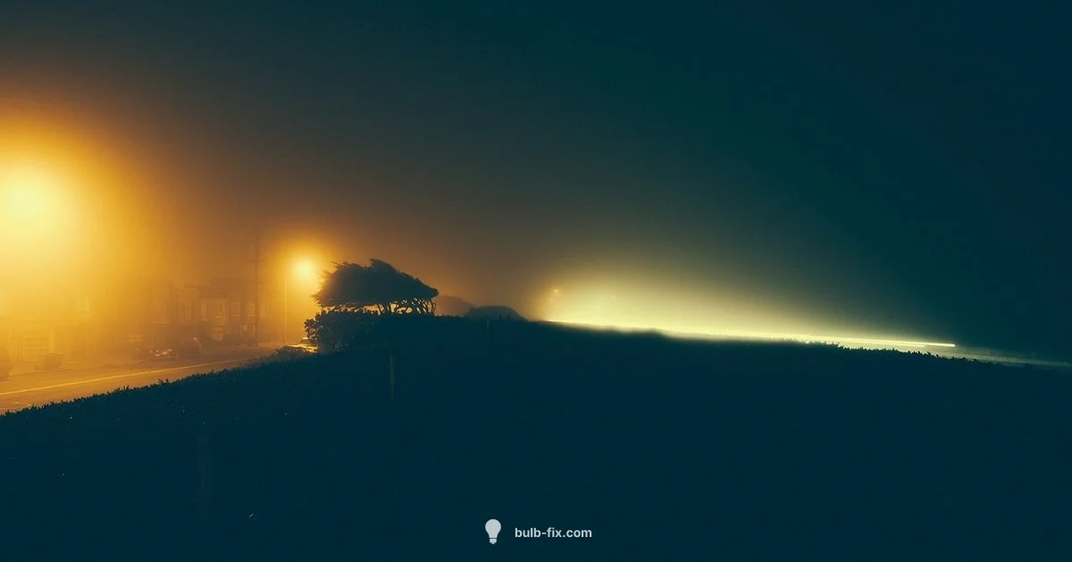 Fog Lamp Glow - Bulb Fix