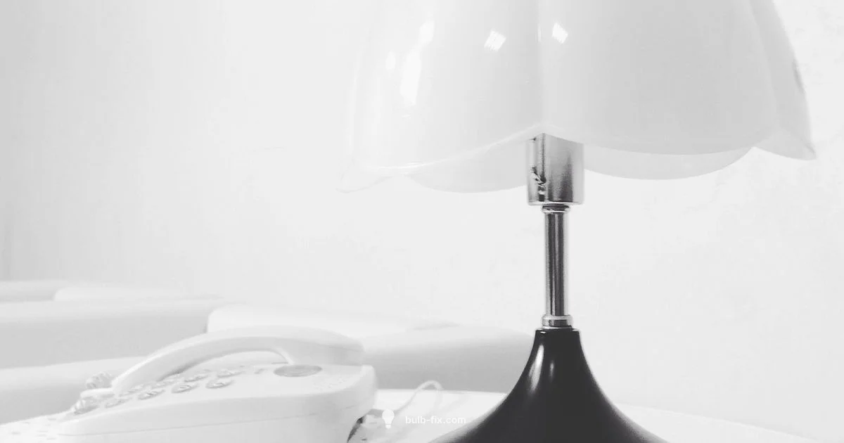 Morning Light Therapy Morning Light Therapy - Bulb Fix