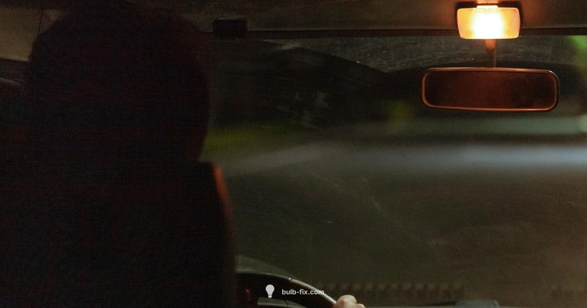 921 Bulb Guide - Bulb Fix