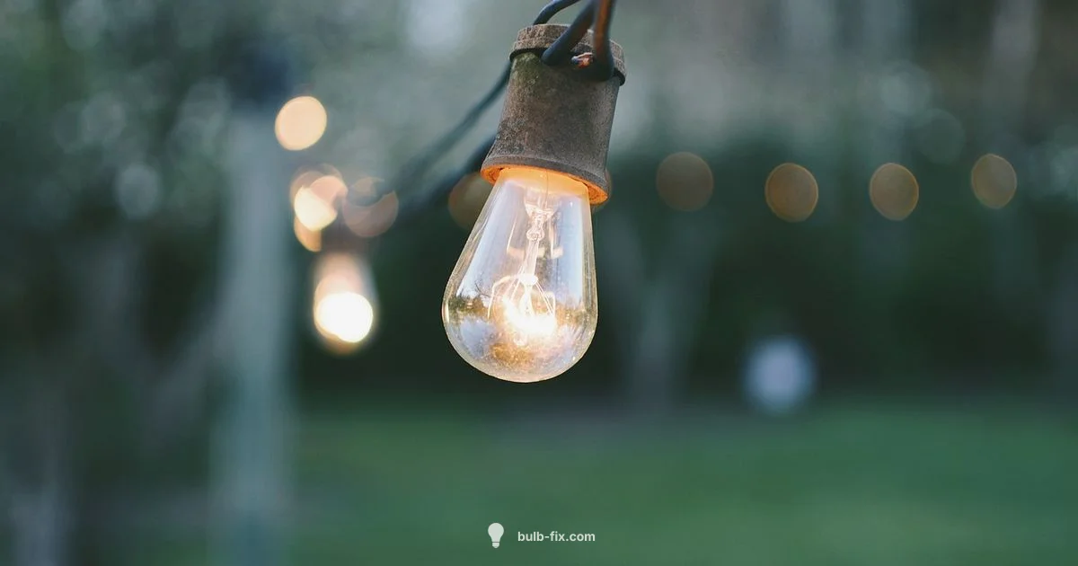 Bulb Size Guide Bulb Size Guide - Bulb Fix