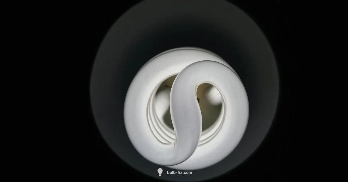 Bulb Recycling Guide - Bulb Fix