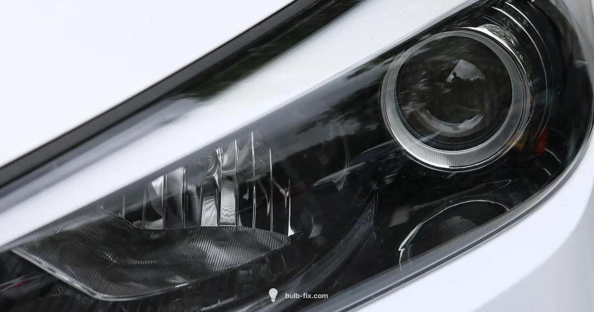 Xenon Headlights Guide Xenon Headlights Guide - Bulb Fix