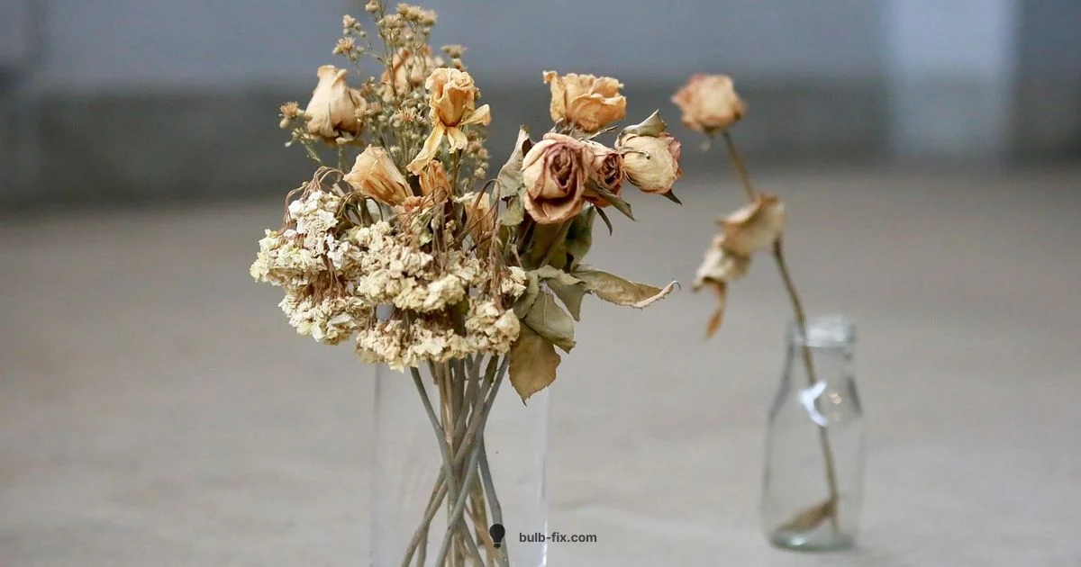 Water Grown Bulbs - Bulb Fix