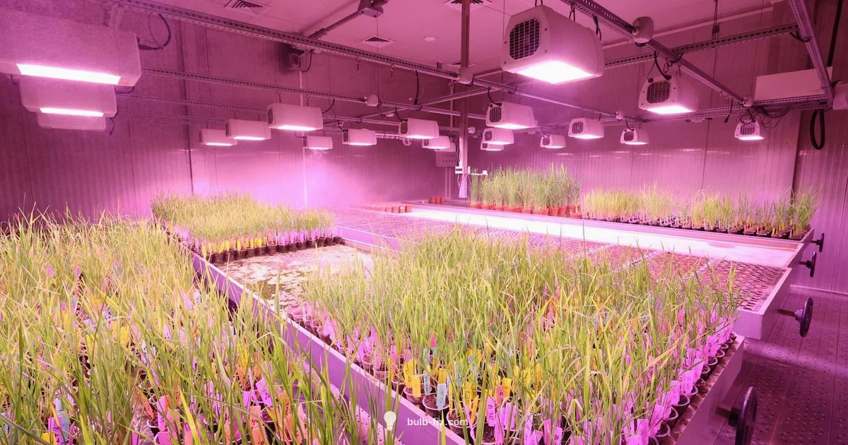 LED Grow Bulbs LED Grow Bulbs - Bulb Fix