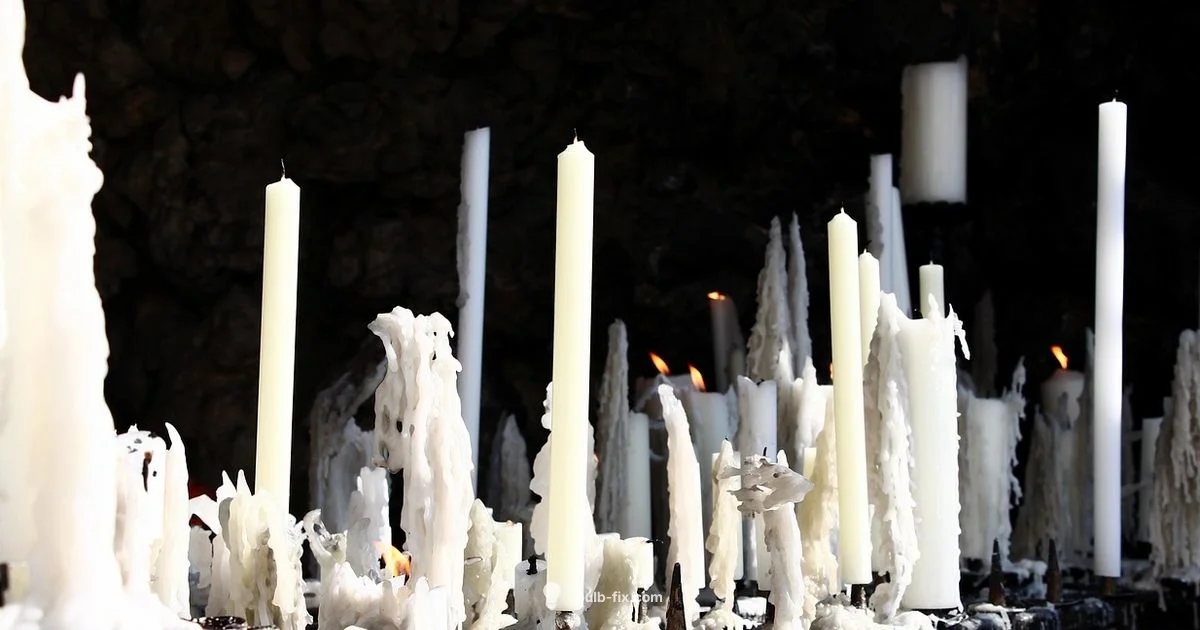 Wax Warmer Bulb Guide - Bulb Fix