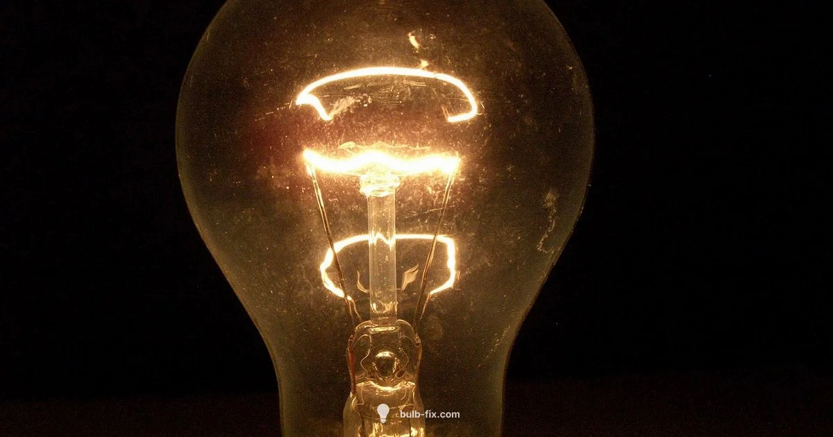 Copper Bulb Guide Copper Bulb Guide - Bulb Fix