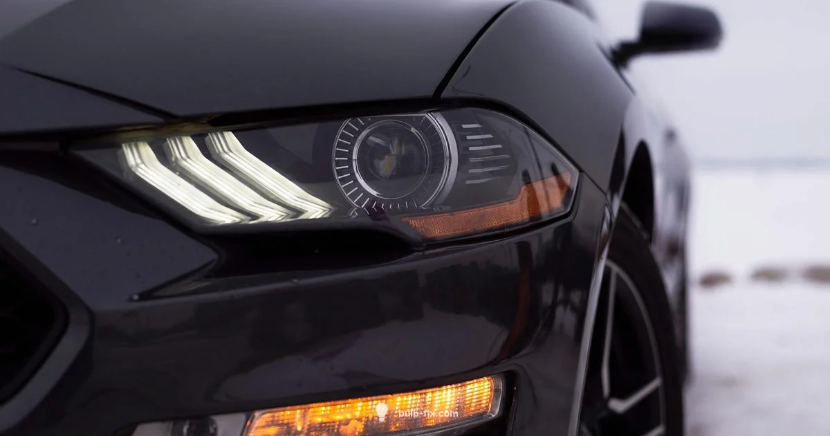 D3S LED Upgrade - Bulb Fix