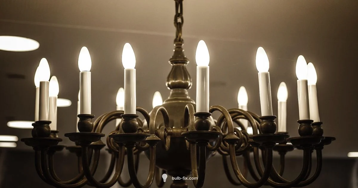 Bulb Light Basics - Bulb Fix