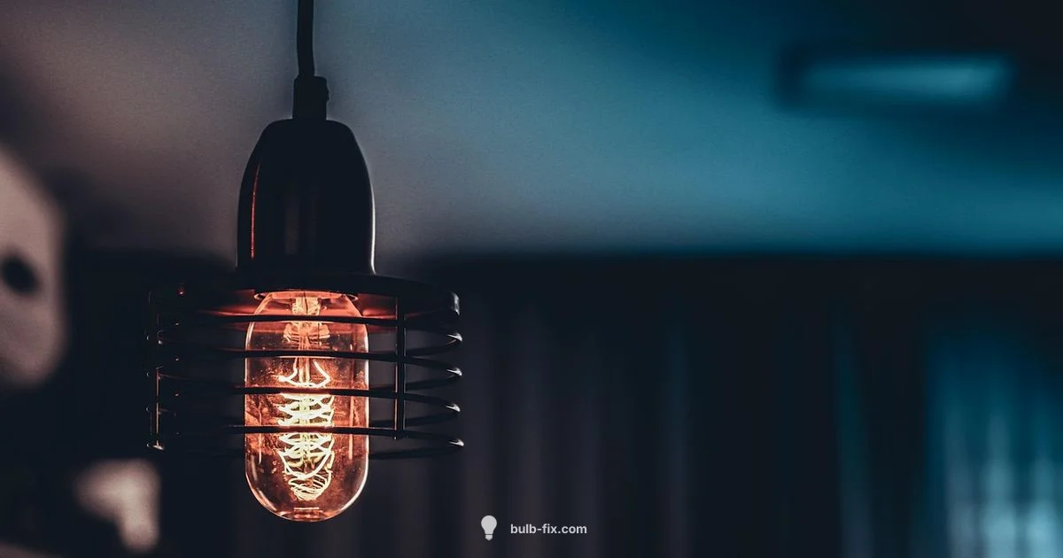 Oldest Light Bulb - Bulb Fix