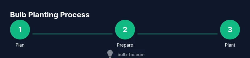 Process diagram of bulb planting steps