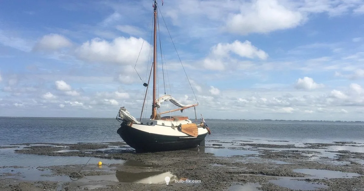 Watering Fall Bulbs - Bulb Fix