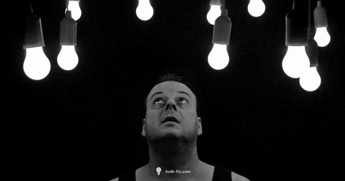 Bright Ideas in Motion - Bulb Fix