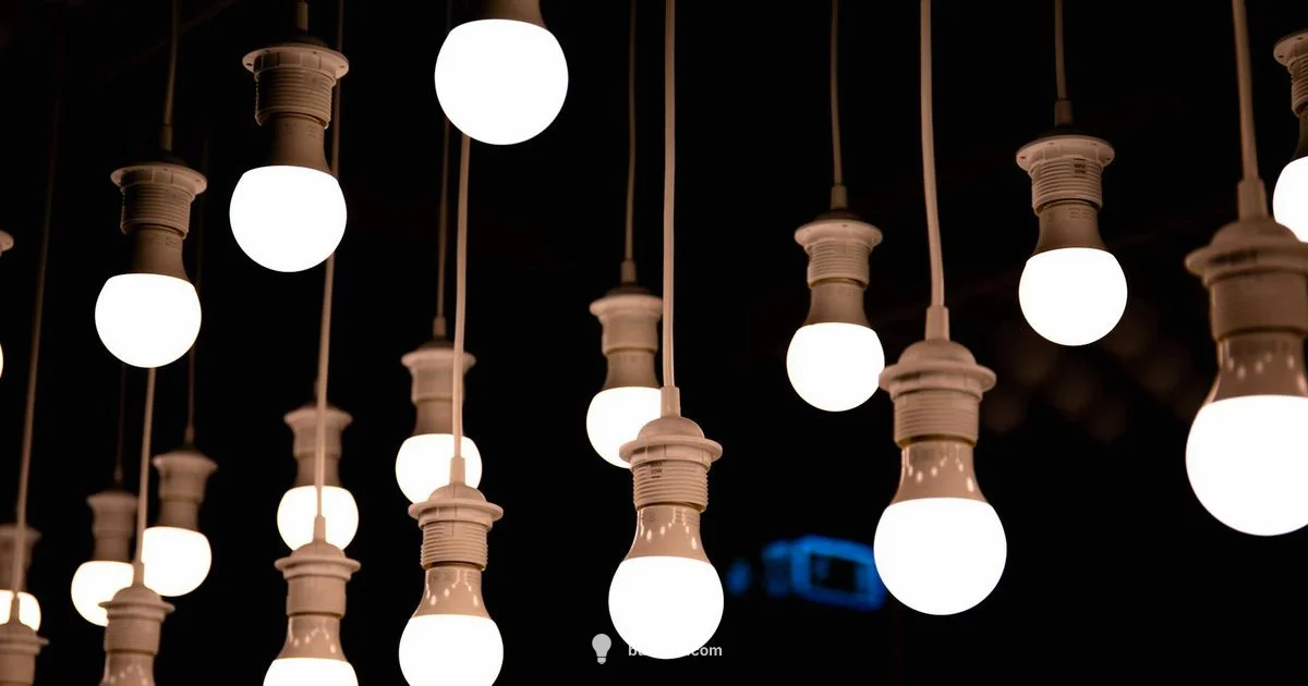 Bulb Lifespan Essentials - Bulb Fix