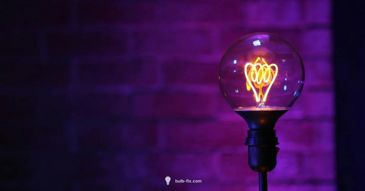 Rechargeable LED Bulbs - Bulb Fix