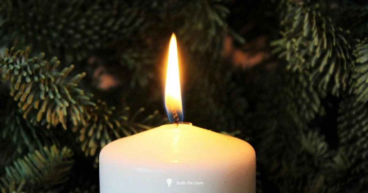 Wax Warmer Bulb Guide - Bulb Fix