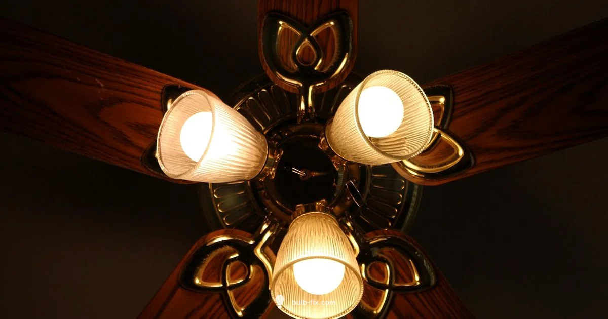 Warm Glow Warm Glow - Bulb Fix