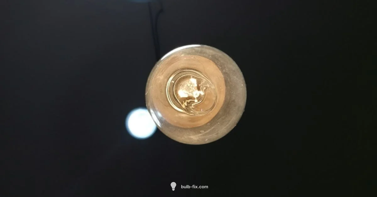 Stemless Bulb Guide Stemless Bulb Guide - Bulb Fix