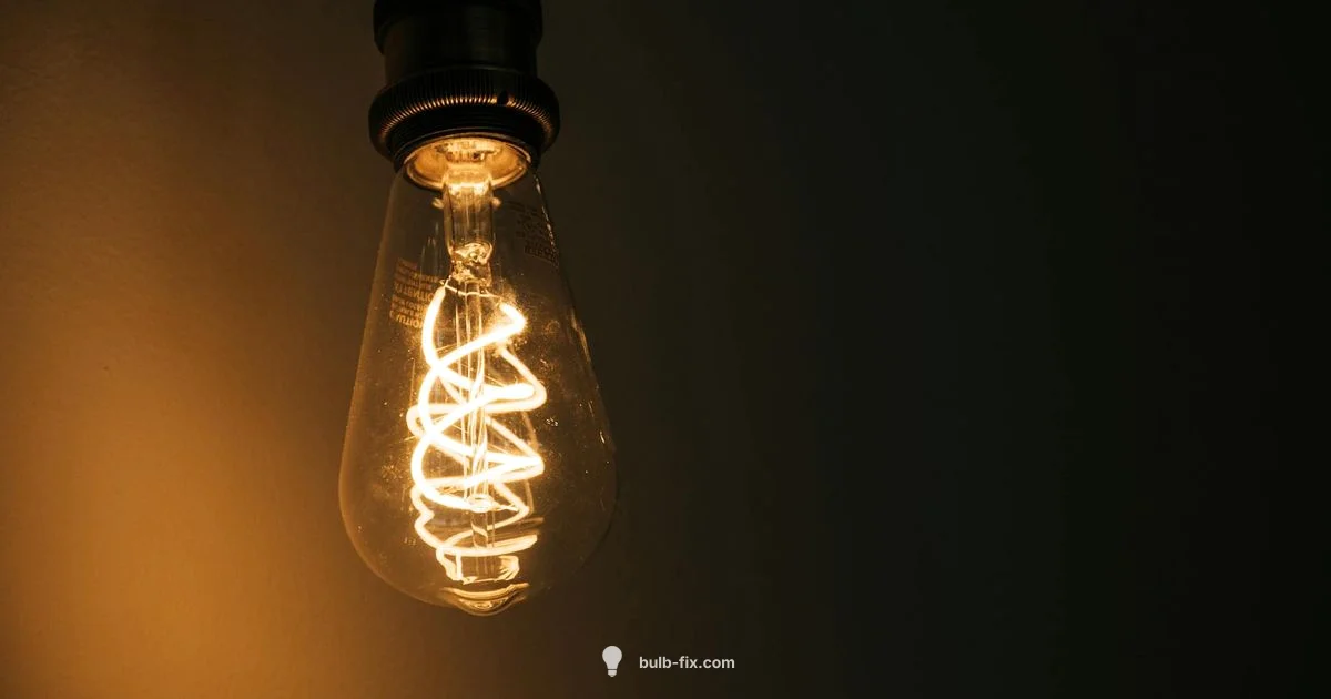 Type B Guide - Bulb Fix