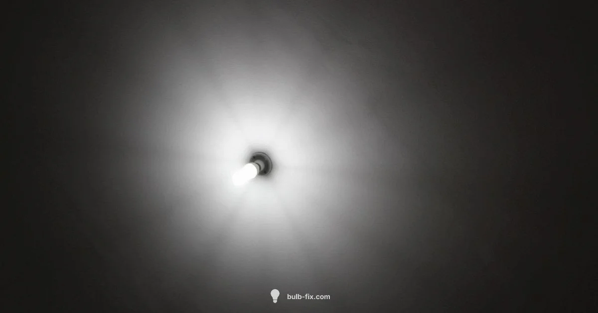 Fluorescent Diagnostics Fluorescent Diagnostics - Bulb Fix